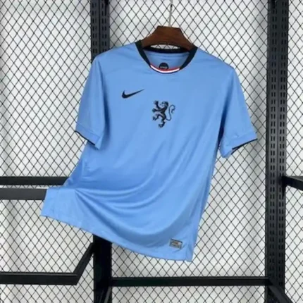 Fanella Kombëtares Hollandës 2025 Away pamje përpara