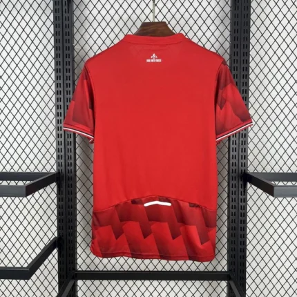 Fanella Lille 2025/26 Home pamje mbrapa